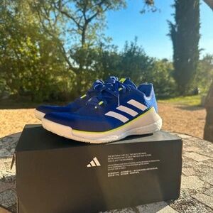Adidas CrazyFlight volleyball shoes